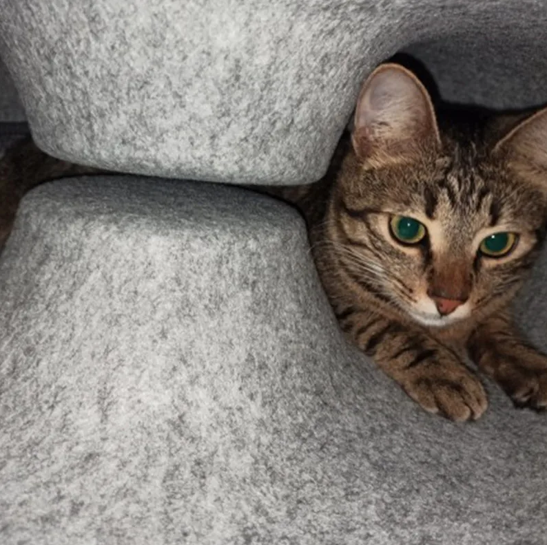 Cama Túnel Para Gatos