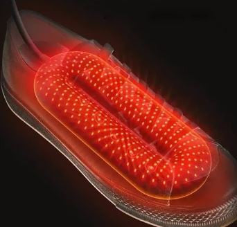 Secador y calentador de zapatos eléctrico portátil